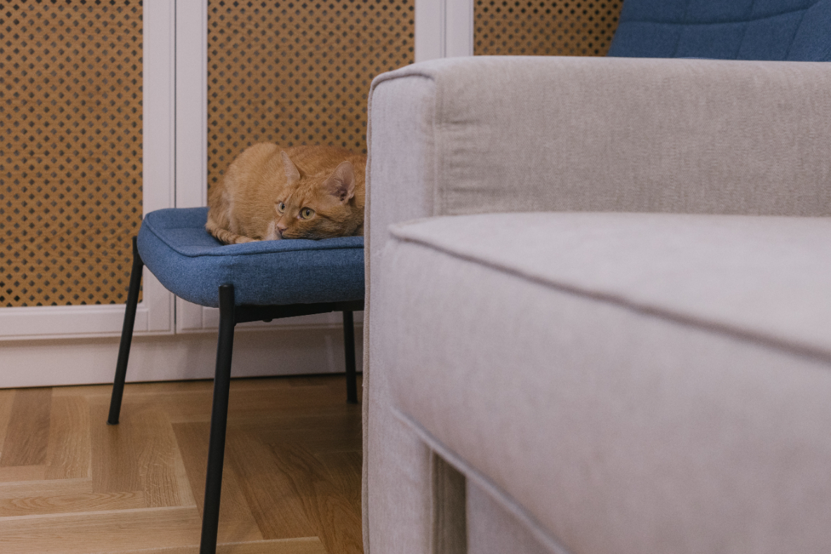 Shabby on so many levels - interior design photo