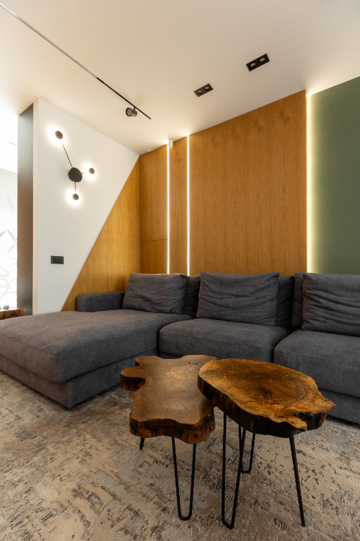 Brancusi Inspired House - interior design photo